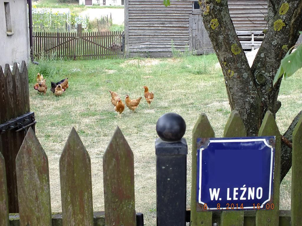 Agroturystyka Wielkie Lezno Kültér fotó